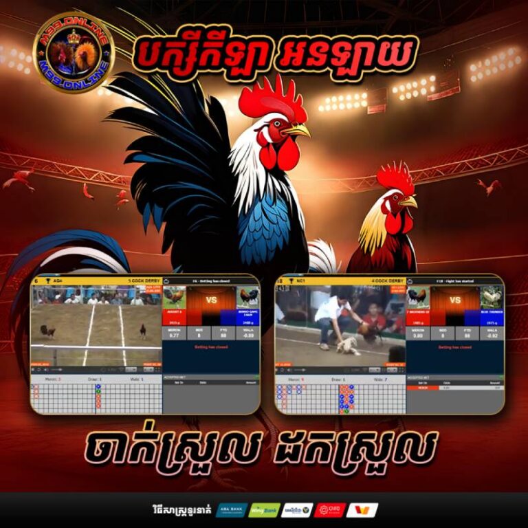 Cá Cược Đá Gà Hợp Pháp Ở Đâu? Khám Phá Sân Chơi Uy Tín