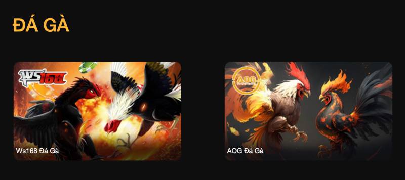 Đá gà trực tiếp – Cảm giác sới gà thật ngay trên màn hình
