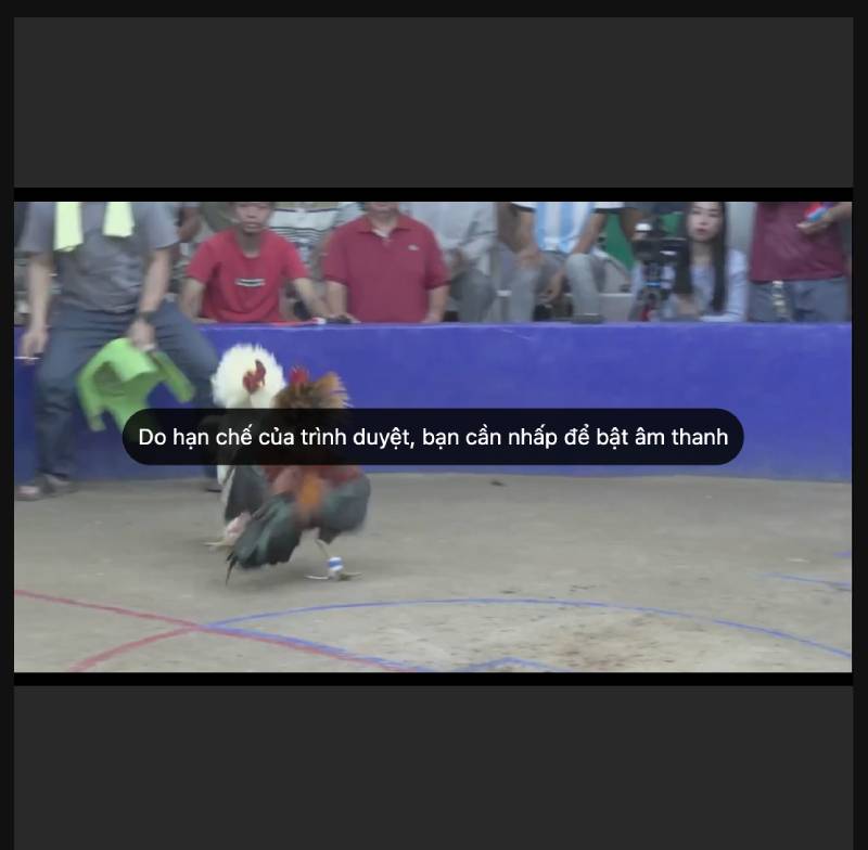 Livestream trận đấu chất lượng cao