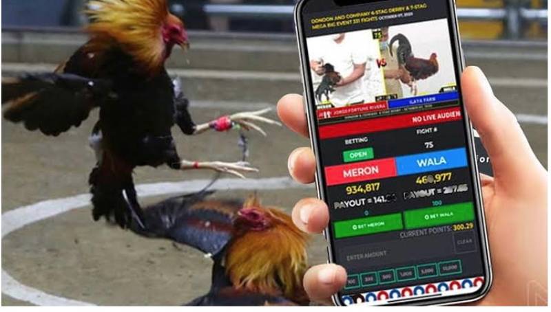 Ưu điểm khi chơi đá gà Campuchia trực tuyến