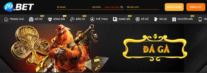 i9bet – Nơi cá cược đá gà hợp pháp, an toàn và uy tín